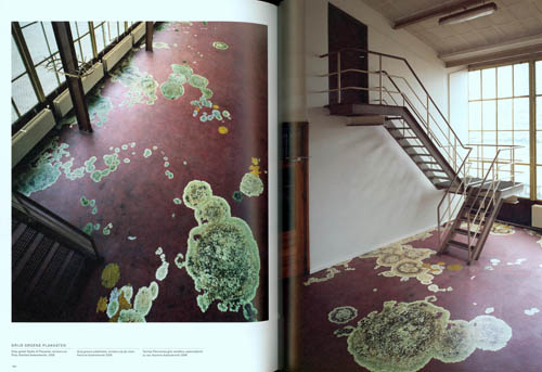 The Living Surface - An Alternative Biology Book On Stains By Lizan Freijsen