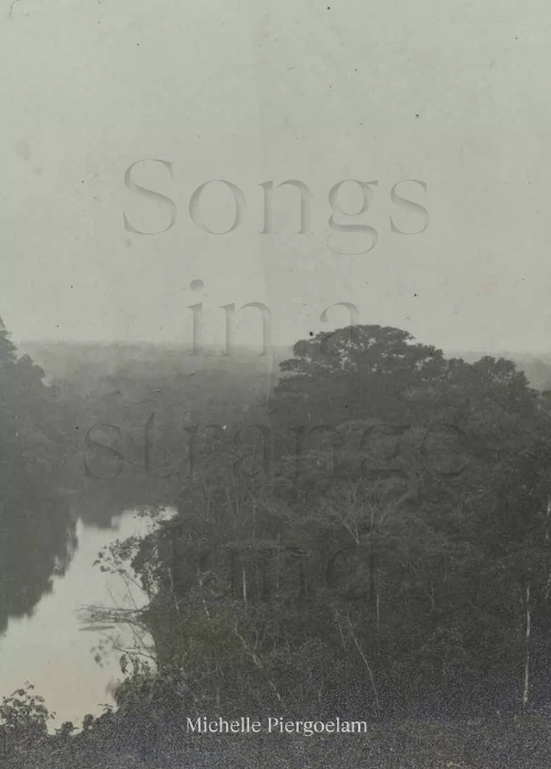Michelle Piergoelam – Songs in a strange land