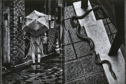 Daido Moriyama: Record 42 Daido Moriyama: Record 42