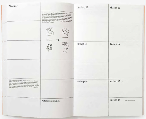 Planner 2023 - Serenity Planner 2023 - Serenity