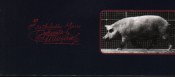 Muybridge Sow Walking