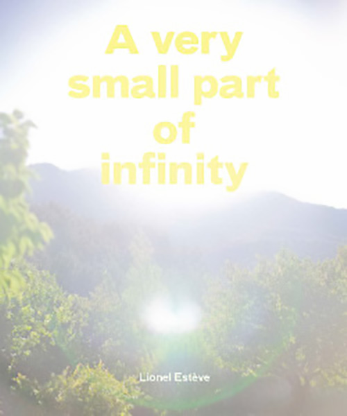 Lionel Esteve - A Very Small Part Of Infinity