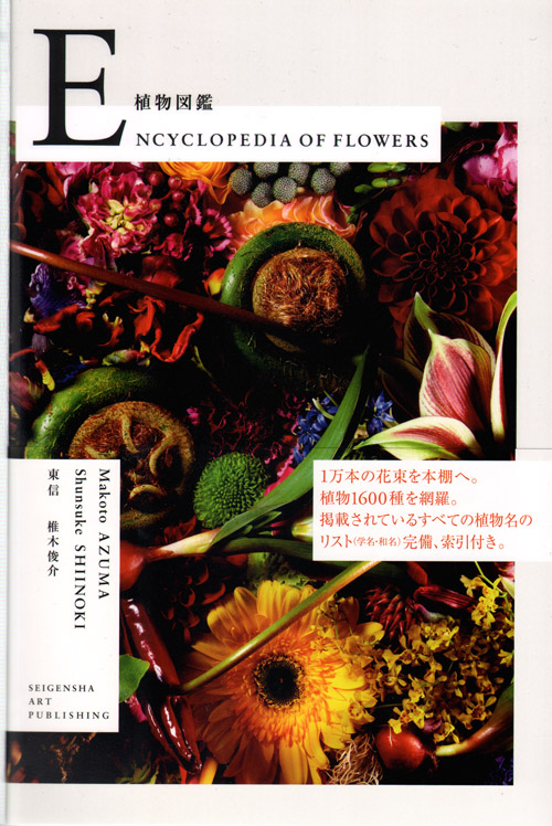 Makoto Azuma/shunsuke Shinoki: Encyclopedia Of Flowers 1 Makoto Azuma/shunsuke Shinoki: Encyclopedia Of Flowers 1