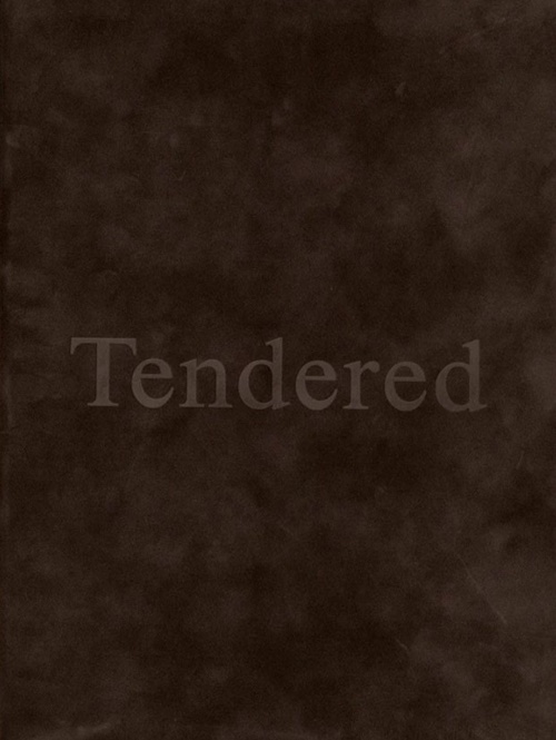 Karimah Ashadu – Tendered