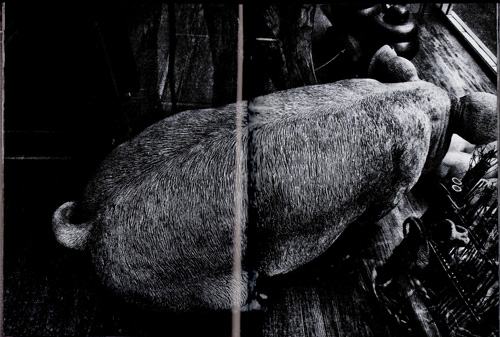 Daido Moriyama: Record 35