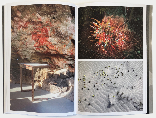 Sjoerd Martens - My neighbor has petroglyphs in her backyard Sjoerd Martens - My neighbor has petroglyphs in her backyard