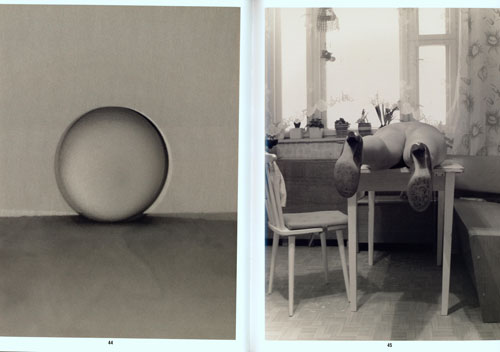 Paul Kooiker Eggs And Rarities Paul Kooiker Eggs And Rarities