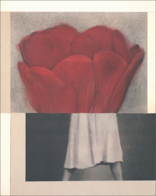 Julie Wolfe - Apophenia volume 02: Exquisite Corpse