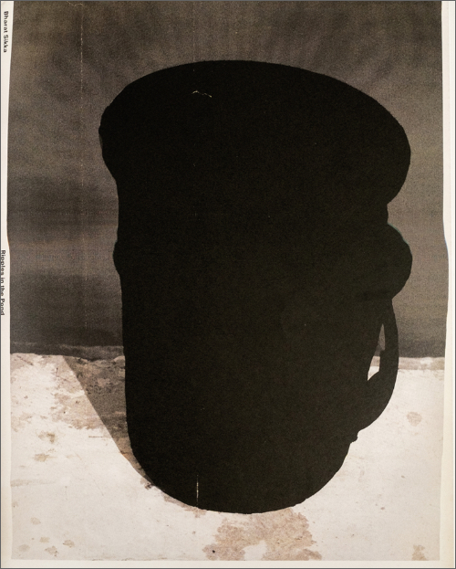 Bharat Sikka - Ripples in the Pond