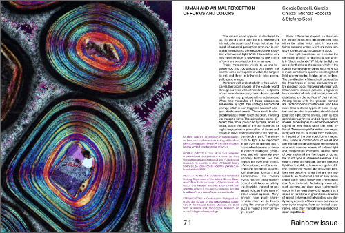 MUdec United #01 – Rainbow MUdec United #01 – Rainbow