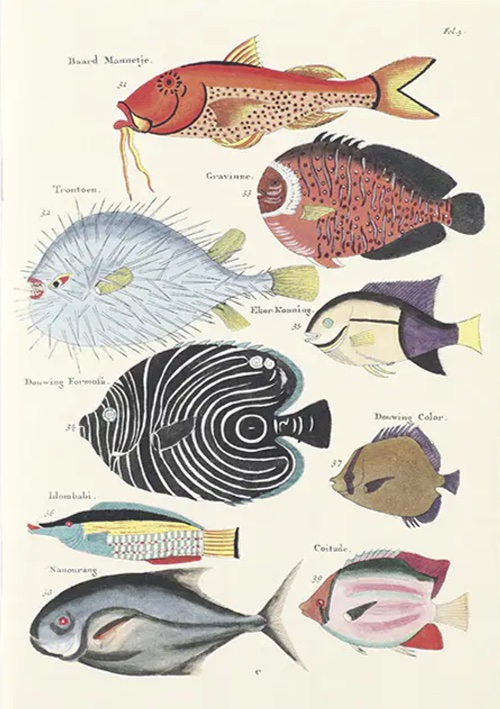Notebook Poissons, écrevisses et crabes