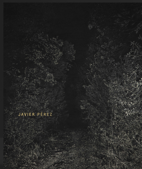 Javier Pérez - Presence Absence Javier Pérez - Presence Absence