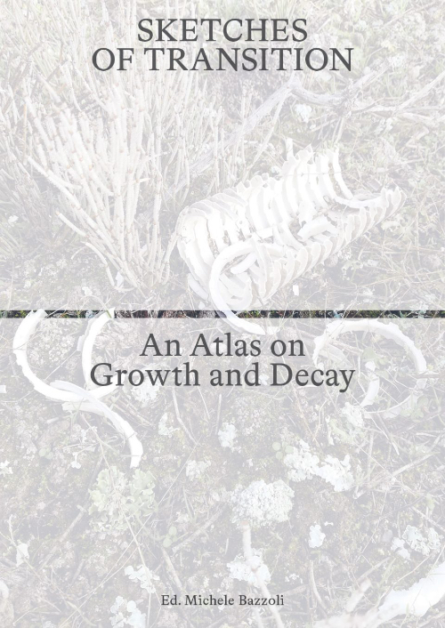 Sketches of Transition - An Atlas on Growth and Decay