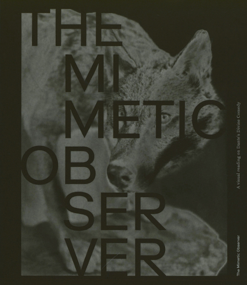 The Mimetic Observer. A Visual Reading on Dante’s Divine Comedy The Mimetic Observer. A Visual Reading on Dante’s Divine Comedy