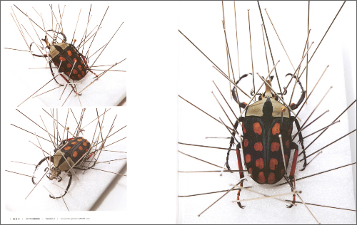 Tensoku: Insect Preparation Tensoku: Insect Preparation