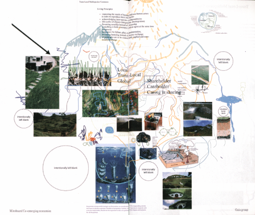 Co-emerging Economies - Exploring Radical Perspectives on Post-Anthropocentric Economies