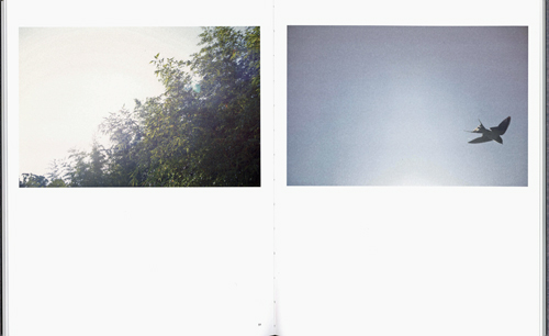 Rinko Kawauchi - Des Oiseaux (On Birds) Japanese Only