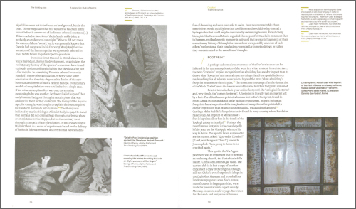 The Thinking Foot – A Pedestrian Study of Paving The Thinking Foot – A Pedestrian Study of Paving