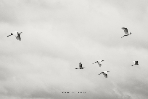 Hans Bol – On My Doorstep Hans Bol – On My Doorstep