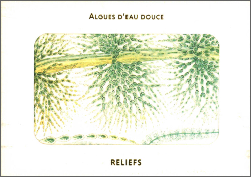 British Fresh-Water Algae (1882-1884): Postcards British Fresh-Water Algae (1882-1884): Postcards
