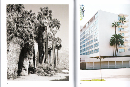 Marie-Jose Jongerius - Los Angeles Palms