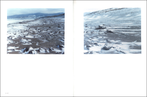 Risaku Suzuki – Winter to Spring