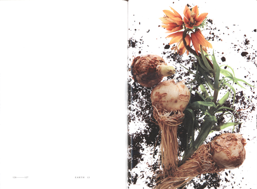 Encyclopedia Of Flowers 4 - Makoto Azuma & Shunsuke Shiinoki