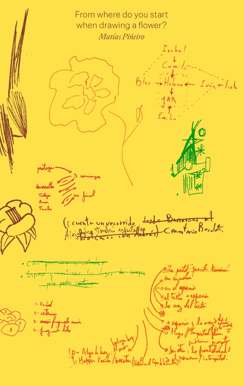 Matías Piñeiro  – From where do you start when drawing a flower?