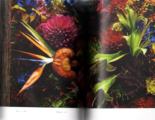 Encyclopedia Of Flowers Part 2 - Makoto Azuma | Shunsuke Shiinoke