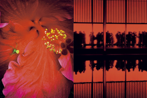 Mika Ninagawa – Eternity in a Moment Vol 1 Mika Ninagawa – Eternity in a Moment Vol 1