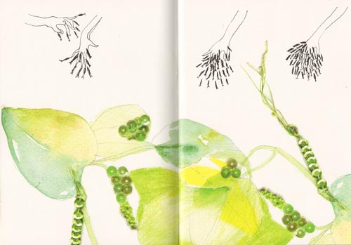 Kat Macleod - Sequins & Sequence Kat Macleod - Sequins & Sequence