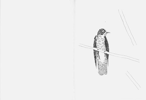 Nigel Peake - Birds Of Japan Nigel Peake - Birds Of Japan