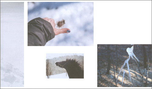 Tara Wray – Book of Sons Tara Wray – Book of Sons