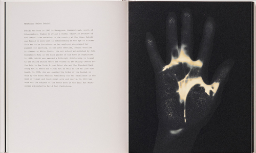 Gary Schneider Handbook: South African Artists Gary Schneider Handbook: South African Artists