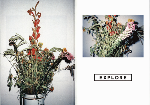 Jenne Grabowski - Broken Flowers Jenne Grabowski - Broken Flowers