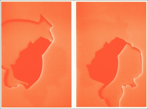 Kai Udema – Bird shaped vinyl