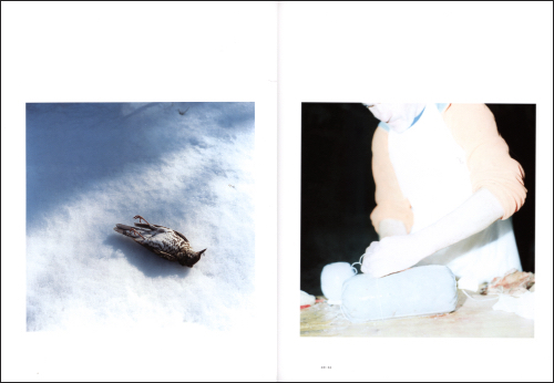 Rinko Kawauchi - M/E On this sphere Endlessly interlinking Rinko Kawauchi - M/E On this sphere Endlessly interlinking