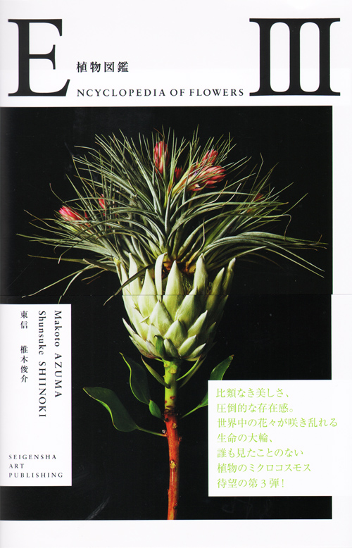 Encyclopedia Of Flowers Part 3 Encyclopedia Of Flowers Part 3