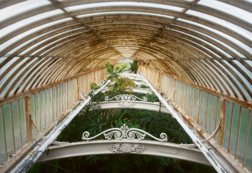 Itziar Guzmán - To the Greenhouse Itziar Guzmán - To the Greenhouse