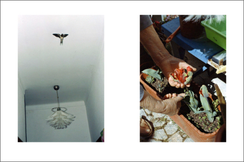 Beatriz Bana - Midday Moon Beatriz Bana - Midday Moon