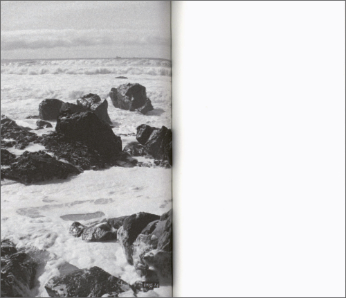 Leila Orth - We as water