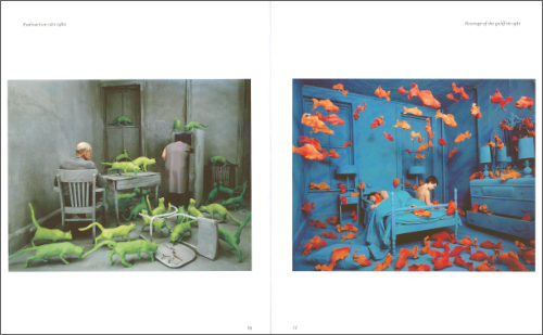Sandy Skoglund Sandy Skoglund