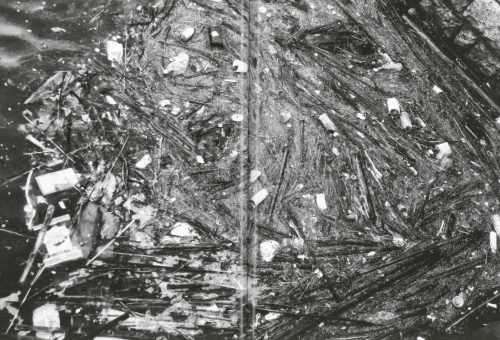 Daido Moriyama: Record 59