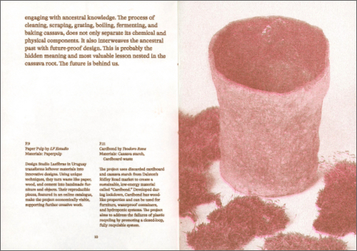 Melon 2 - Two Faces of Asian Delicacies: Crisis Food and Colonial Blends