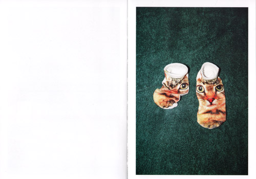 Yoshinori Mizutani - Colors