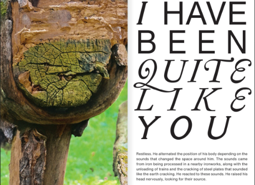 Nobody and Nowhere: Notes of Absent Narration