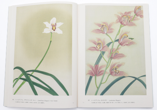 Rankafu: Japanese Woodblock Prints of Orchids