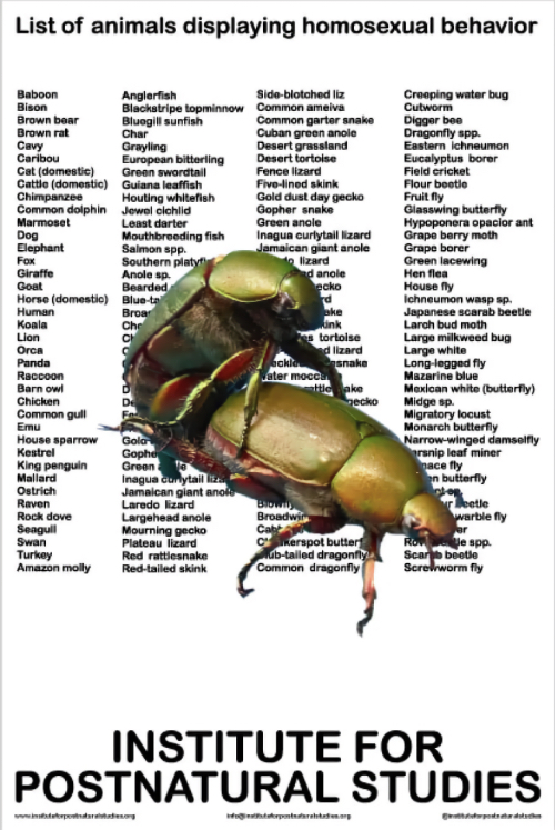 List of animal displaying homosexual behaviours · Beetles (poster)