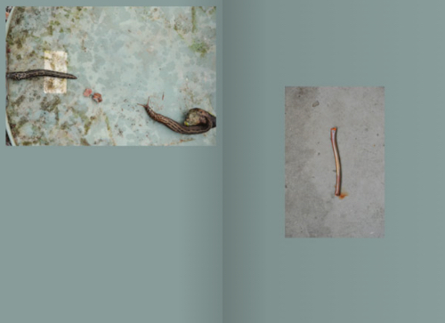 Nina Canell: Hardscapes. Maria Hassabi: HERE Nina Canell: Hardscapes. Maria Hassabi: HERE