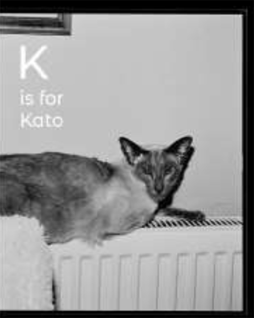 Margaret Salmon - K Is For Kato: An Esperanto Alphabet Book
